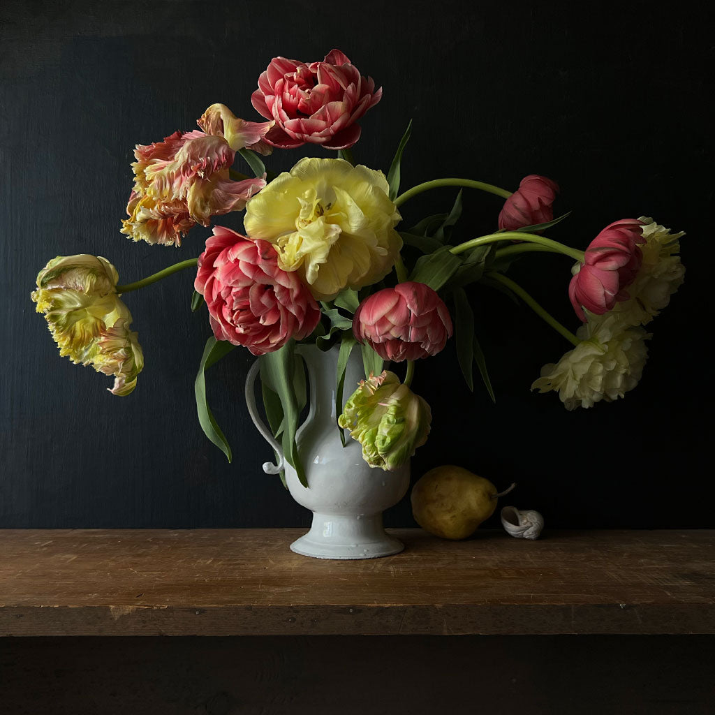 ADV-Colbert-Pitcher_1200x1200.