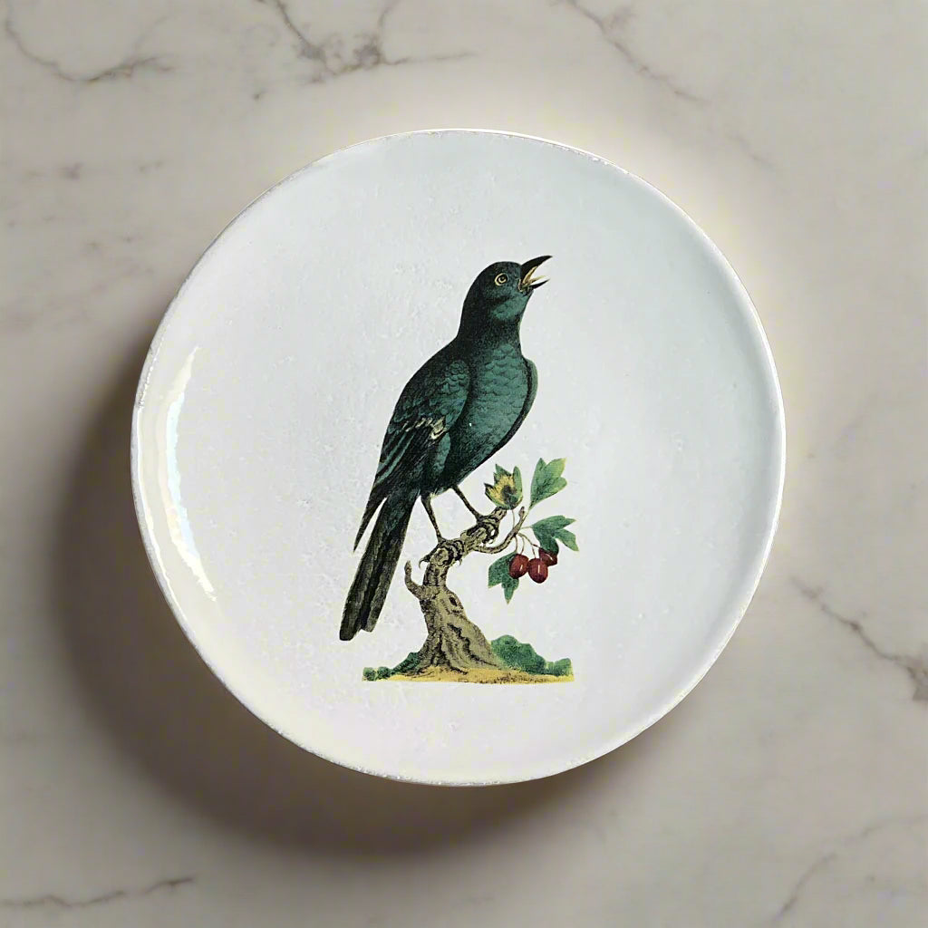 ASTIER de VILLATTE John Derian ソーサー 皿 ASPJHN12-1_1200x1200.jpg?v=
