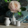 Astier de Villatte Boule Pitcher
