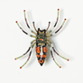 Beaded Harvest Spider Embroidered Pin by Trovelore