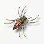 Beaded Harvest Spider Embroidered Pin by Trovelore
