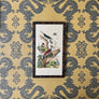 Landscape with Magpies Original Hand-Colored French Engraving in Vintage Frame