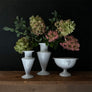 Astier de Villatte Lion Bowl on Stand