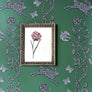 Dianthus Carnation Bloom & Stem Original Vintage Lithograph in Victorian Wood Frame