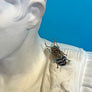 Beaded Deco Beetle Embroidered Pin by Trovelore