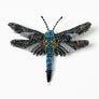 Beaded Dragonfly Embroidered Pin by Trovelore