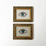 Don Carney Pair of Blue Eyes - Art Prints in Vintage Gold Dot Frames