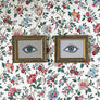 Don Carney Pair of Blue Eyes - Art Prints in Vintage Gold Dot Frames