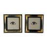 Don Carney Pair of Brown Eyes - Art Prints in Vintage Black & Gold Frames