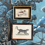 Boar Hound of Germany Original Hand-Colored French Engraving Vintage Art