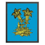PATCH NYC Lily Blossoms Fine Art Print