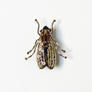 Beaded Golden Fly Embroidered Pin by Trovelore