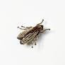 Beaded Golden Fly Embroidered Pin by Trovelore