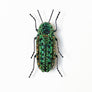 Beaded Green Beetle Embroidered Pin by Trovelore