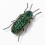 Beaded Green Beetle Embroidered Pin by Trovelore