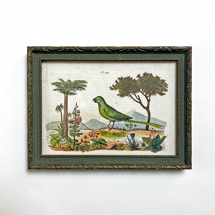 Green Bird in a Landscape Original Hand-Colored French Engraving in Vintage Frame