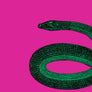 PATCH NYC Coiling Snake Fine Art Print