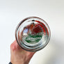 Vintage Figural Matador Painted Glass Liquor Bottle Made in Spain