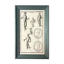 Original French Engraving Studies of Mercure (Mercury) on Laid Paper in Painted Frame