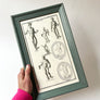 Mercure (Mercury) Studies Original French Engraving on Laid Paper in Painted Frame