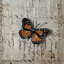 Beaded Orange & Black Butterfly Embroidered Pin by Trovelore