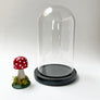 Hand Painted Mushroom Specimen in a Glass Dome (A)