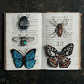 Beaded Emerald Bee Embroidered Pin by Trovelore