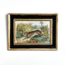 Rabbits Original Hand-Colored French Engraving Vintage Art
