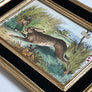 Rabbits Original Hand-Colored French Engraving Vintage Art