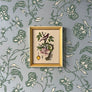 Pommier & Pompadour (apple & Pompadour Contiga)- Original Hand-Colored Engraving in Vintage Frame