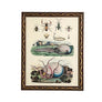 Squid and Insects Original Hand-Colored French Engraving in Vintage Frame