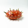 Waylande Gregory Thorn Oval Box Orange