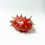 Waylande Gregory Thorn Oval Box Orange