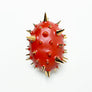 Waylande Gregory Thorn Oval Box Orange