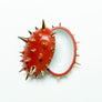 Waylande Gregory Thorn Oval Box Orange