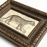 Wild Cat Original French Engraving in Vintage Frame