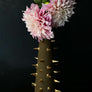 Waylande Gregory Tall Cone Thorn Vase Matte Brown