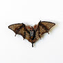 Beaded Brown Bat Embroidered Pin by Trovelore