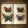 Green & Tan Butterfly Embroidered Pin by Trovelore