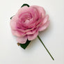 Paper Dusty Pink Camellia Stem by The Green Vase