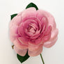 Paper Dusty Pink Camellia Stem by The Green Vase