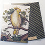 PATCH NYC Cockatoo Notecard Set