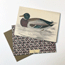 PATCH NYC Duck Notecard