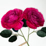 Paper Double Floribunda Rose Stem Magenta by The Green Vase