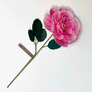 Paper Floribunda Rose Stem by The Green Vase