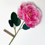 Paper Floribunda Rose Stem by The Green Vase