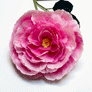 Paper Floribunda Rose Stem by The Green Vase