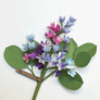 Paper Mixed Purples Lilac Stem by The Green Vase