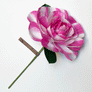 Paper Striped Camellia Stem by The Green Vase