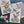 PATCH NYC Parakeets Notecard Set